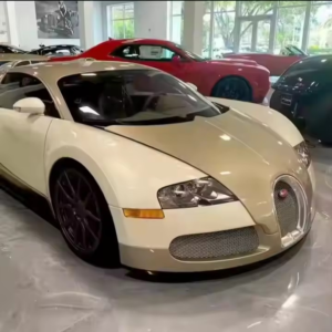 NEATLY USED Bugatti Veyron 1 Hot Sales